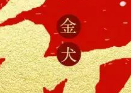 鑫耀裝飾給大家拜年了！?。? /> 
		   </div> 
		   <div   id=